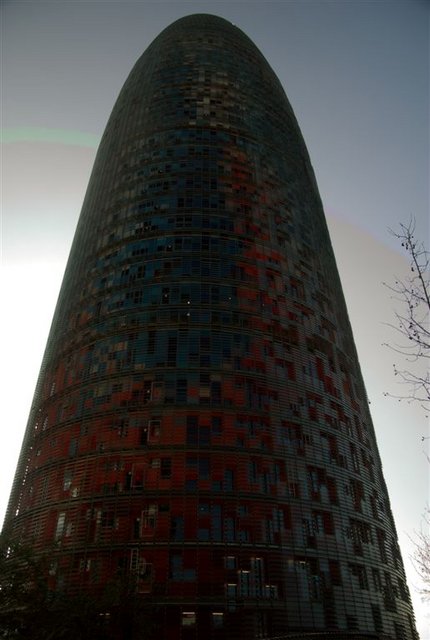 DSC_0446