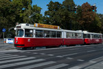 wien_8.jpg