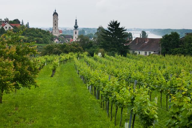 wachau_95_015.jpg