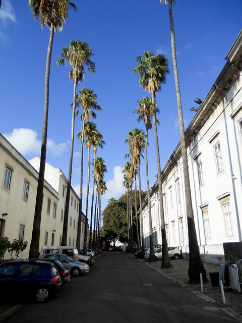 DSCN0518_050.jpg