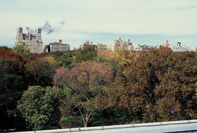 20101130_podzim_pozitive_film_22_010.jpg