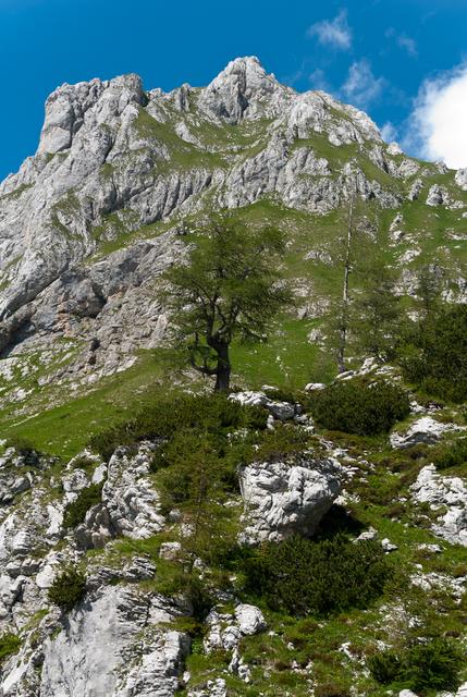 triglav_432_102.jpg