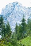 triglav_445_107.jpg