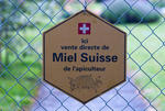 swiss_257_043.jpg