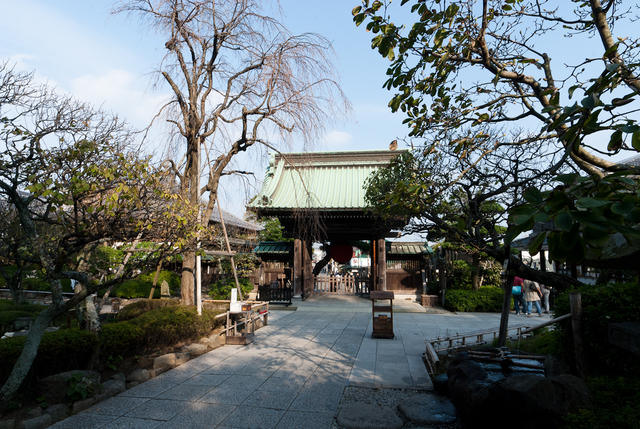japan_and_hongkong_129_024.jpg