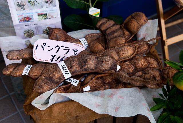 japan_and_hongkong_231_036.jpg