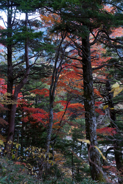 japan_and_hongkong_340_053.jpg