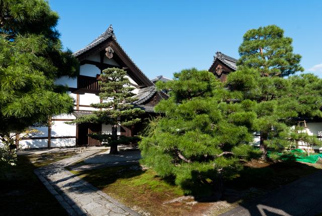 japa_and_hongkong_1265_184.jpg