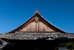 japa_and_hongkong_1269_186.jpg