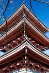 japa_and_hongkong_1299_190.jpg