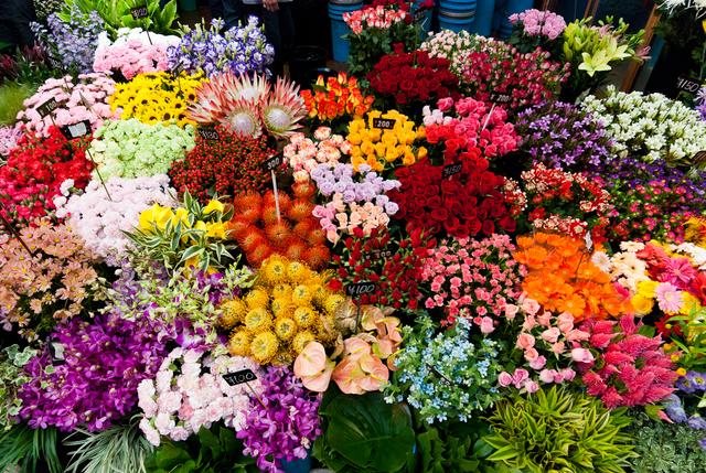 japa_and_hongkong_1635_020.jpg