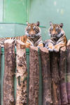 ZOO_Praha_42-2.jpg