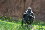 ZOO_Praha_110-7.jpg