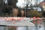 artur_v_zoo_8-2.jpg