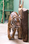 artur_v_zoo_49-11.jpg