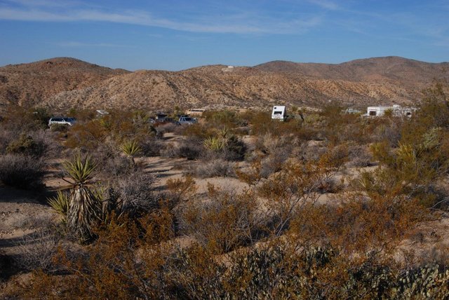 JoshuaTree_008.jpg