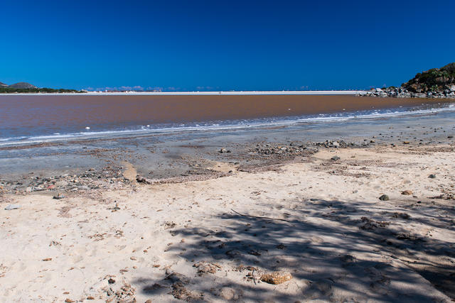 Laguna plameňáků