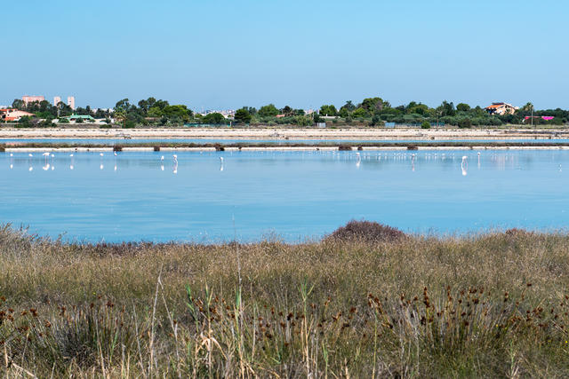 sardegna_22-6.jpg