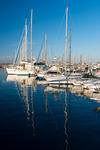 sardegna_443-81.jpg