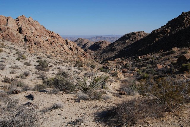 JoshuaTree_027.jpg