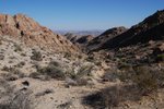 JoshuaTree_027.jpg