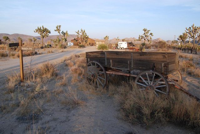 JoshuaTree_082.jpg