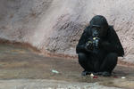 zoo_praha_46-5.jpg