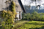 reinach_130-20