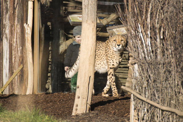 010_zoo_84