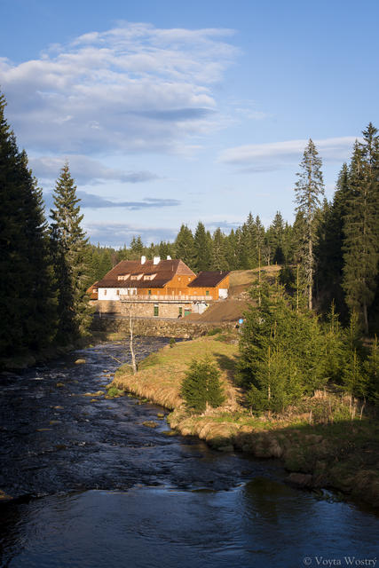 012_modrava_jaro_72