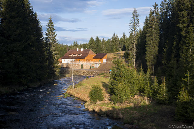 013_modrava_jaro_74