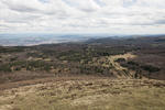 010_puy_41